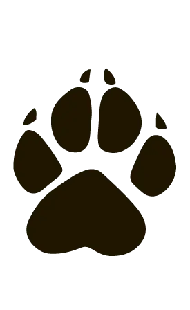 Собача лапа 2